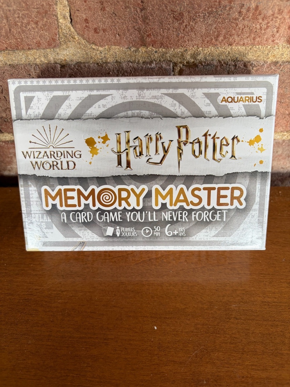 Harry Potter Memory Masters Game
